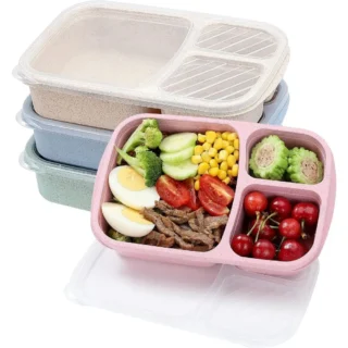 1 Bento Box Lunch Box for Kids and Adults