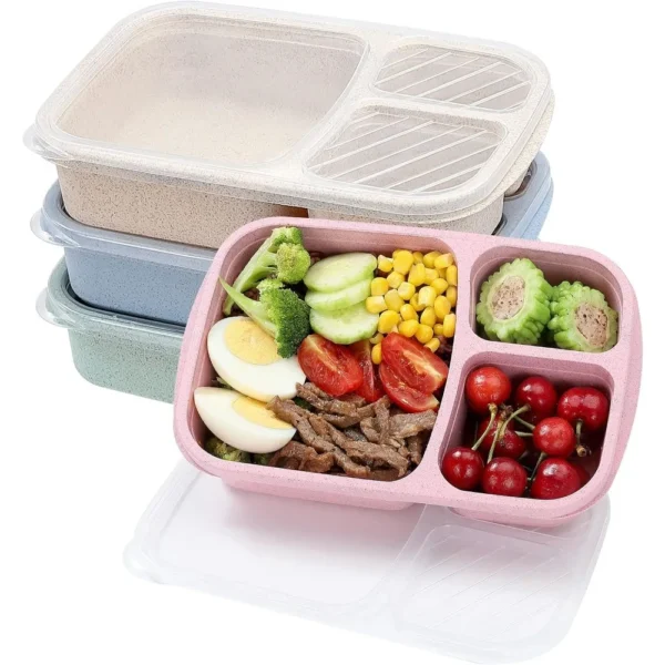 1 Bento Box Lunch Box for Kids and Adults